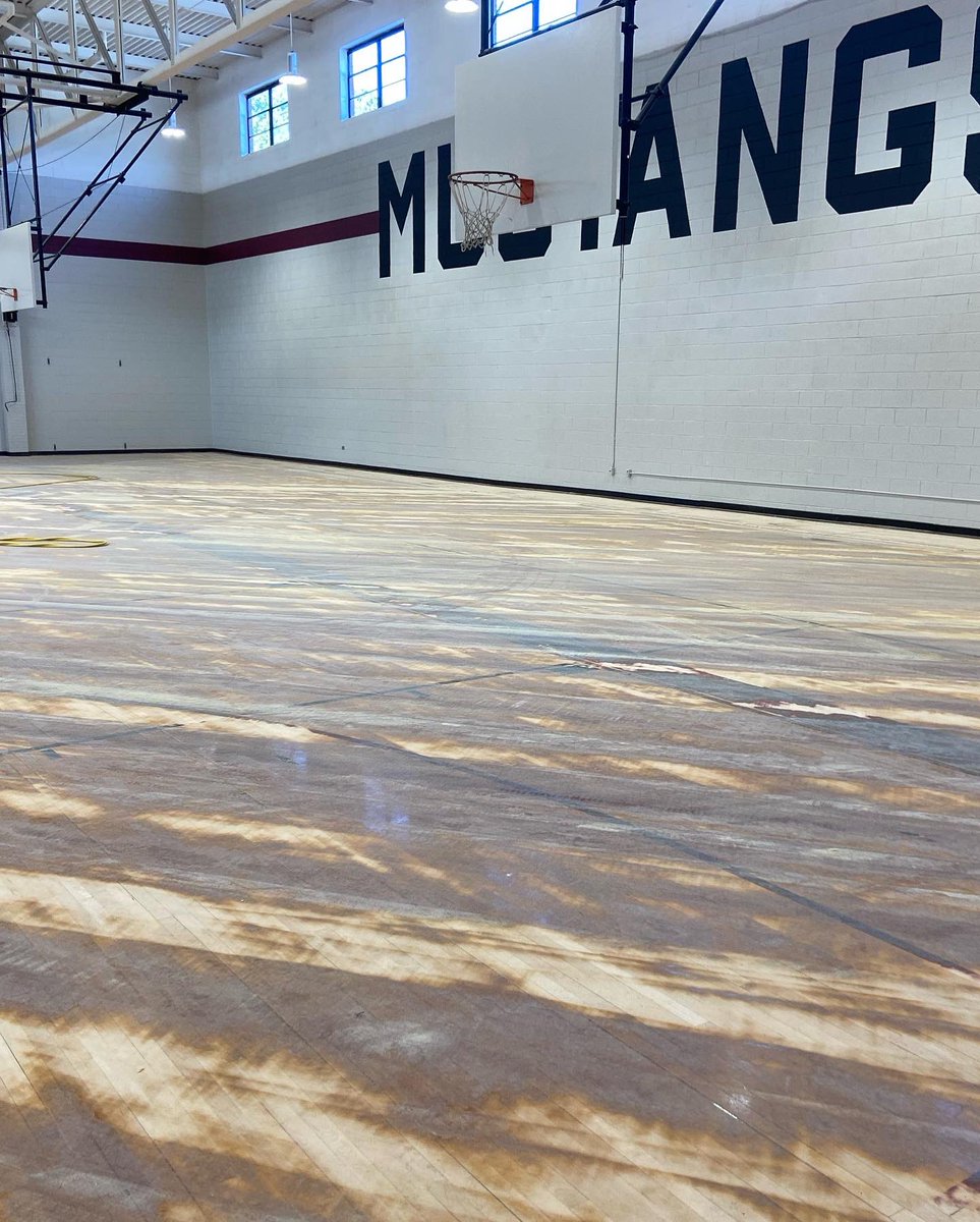 SCSbyFlooraction tweet media