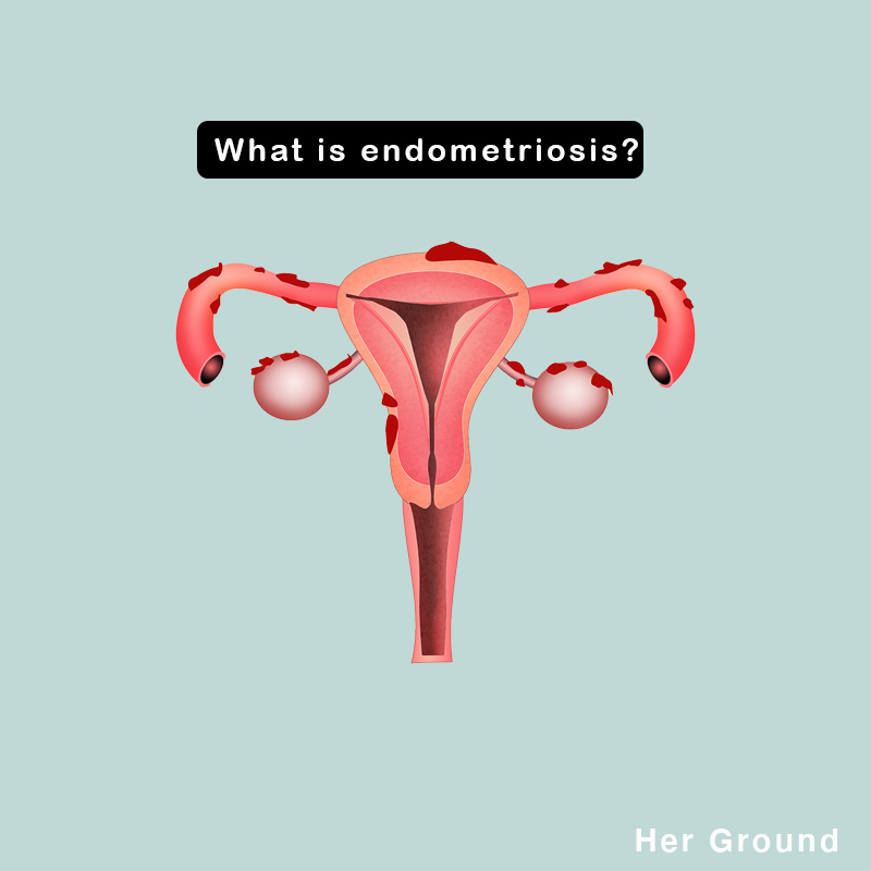 Her Ground tweet media