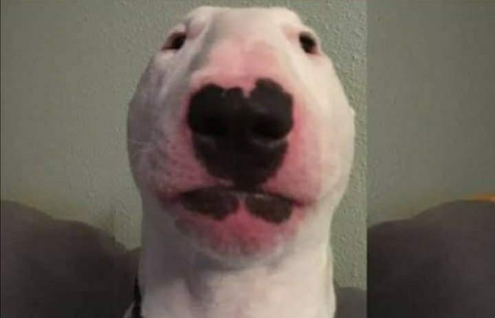 /