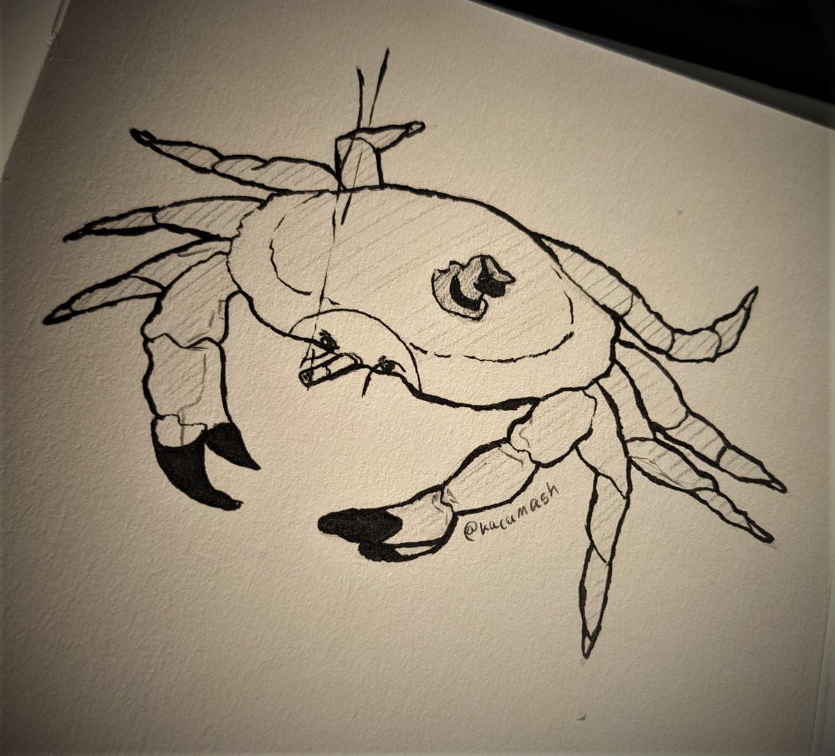 kacamash's tweet photo. haha, spycrab
Day 10, Crabby
#inktober2022 #inktober2022day10 #inktobercrabby https://t.co/RKoQmrnwBF