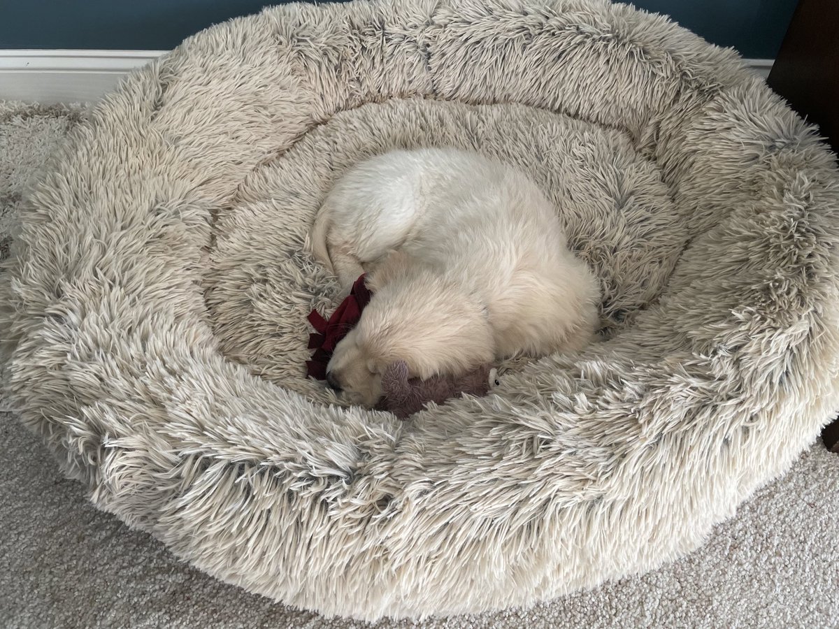 ProSquid tweet media