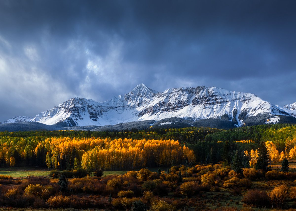 Mid morning fall in Colorado