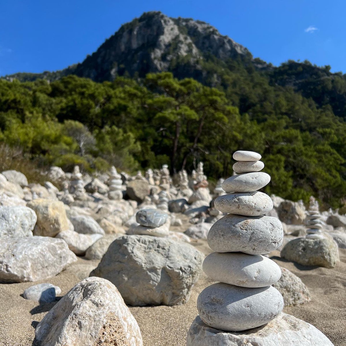 On #WorldMentalHealthDay I’m sharing the piece of advice that has been my zen for the last couple of years … being active, learning, being connected, giving and being mindful … the 5 pillars of #Wellbeing