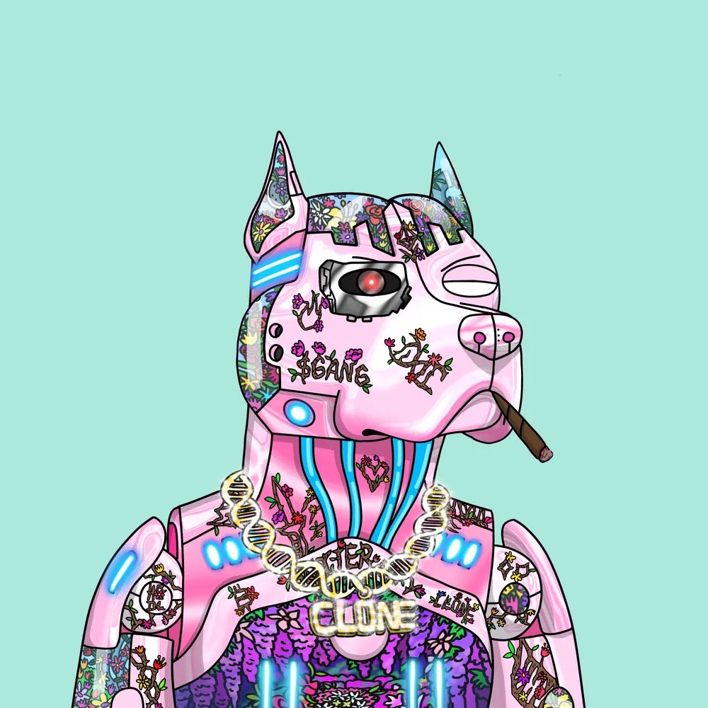 ImRelik's tweet image. Just secured a big clone bag🧬🧬. Big thanks to @aarontcadena for the smoothest trade! GANG GANG @GutterCatGang @Stoniphantom