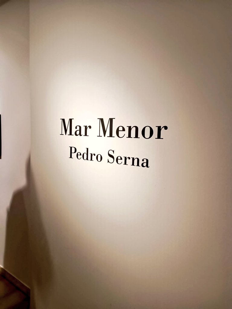 tomsfdez's tweet photo. Hemos presenciado en el @museoramongaya la maravillosa serie inédita del genial artista murciano Pedro Serna dedicada al #MarMenor, una de las actividades programadas para conmemorar el #32AniversarioMuseoRamónGaya
#PedroSerna
#CulturaMurcia
#MuseoRamónGaya https://t.co/nXCafIpVWN