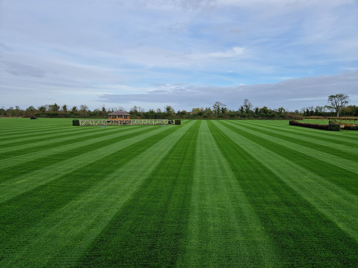 45 days after seeding