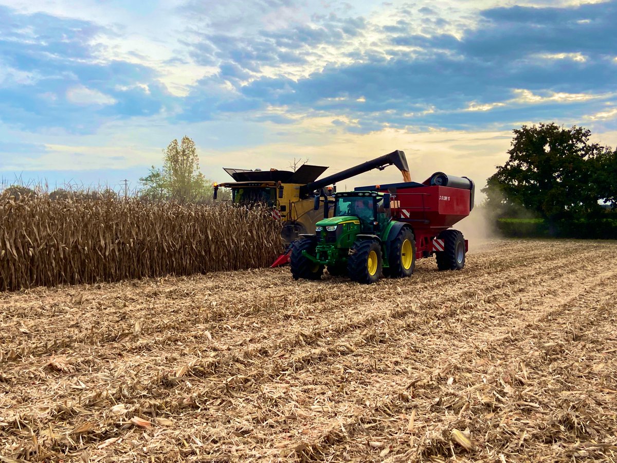 Corn harvest 🌽 2022 @NewHollandAgFr <a href="/JohnDeere/">John Deere USA</a>