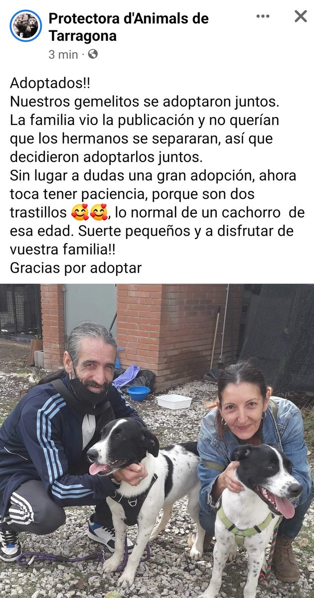 QuimCarro's tweet photo. Qué alegría, han adoptado a los dos hermanos, y juntos además https://t.co/z0zfEx7TDv