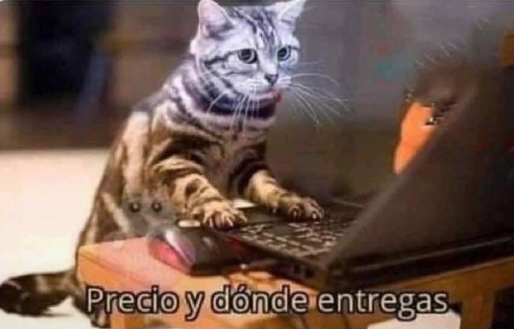 Guarromantico_'s tweet image. Yo sin dinero, pero con ganas de gastar.