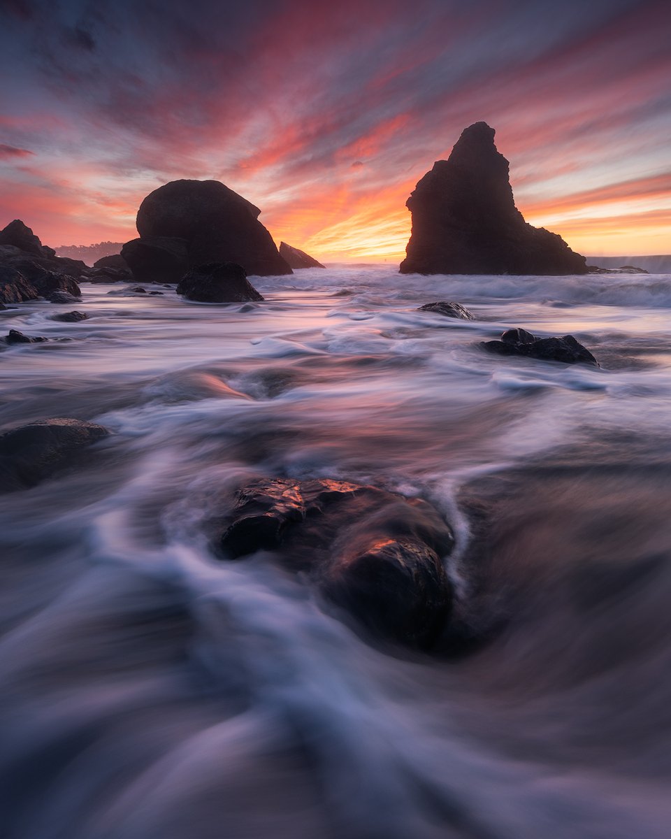 shainblum tweet picture