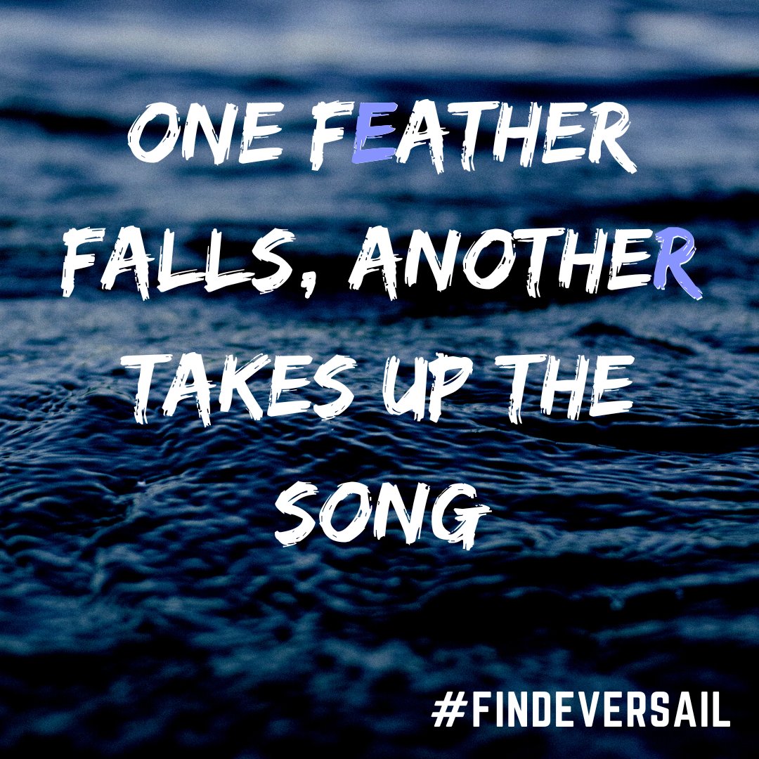 #FindEversail tweet media