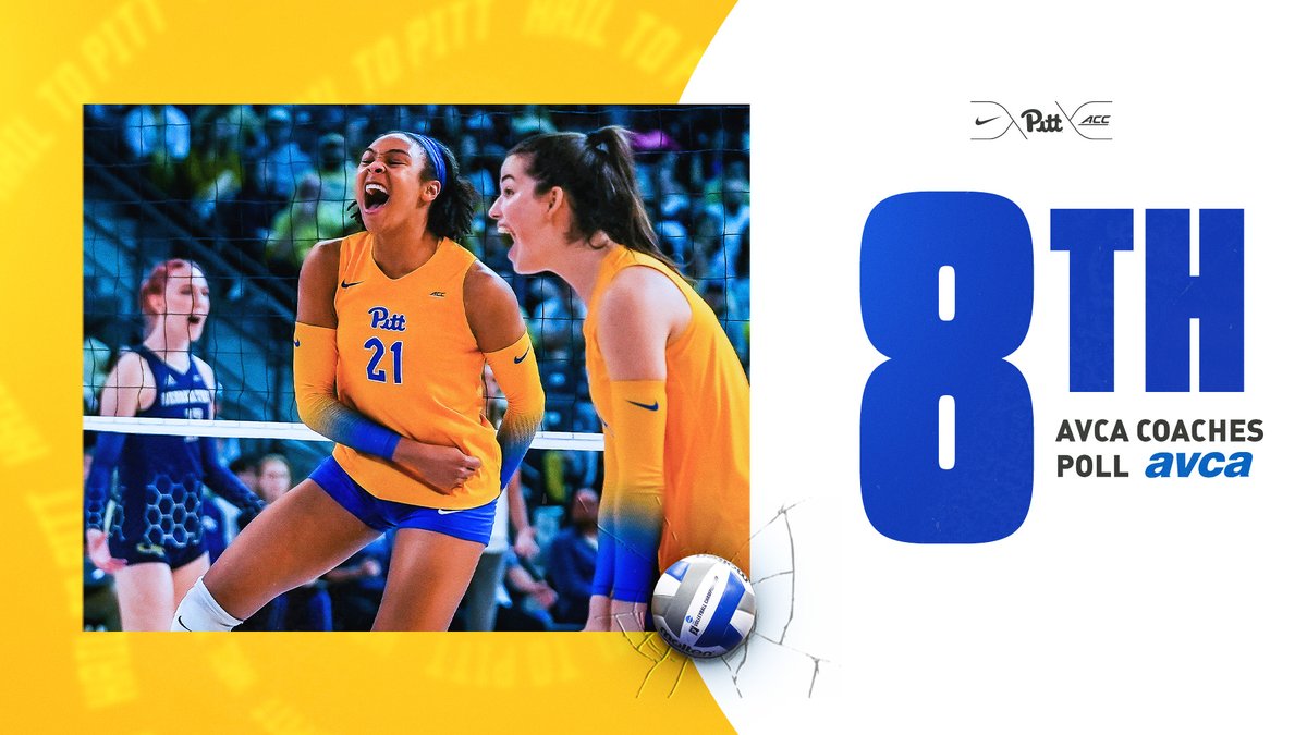 Pitt Volleyball tweet media