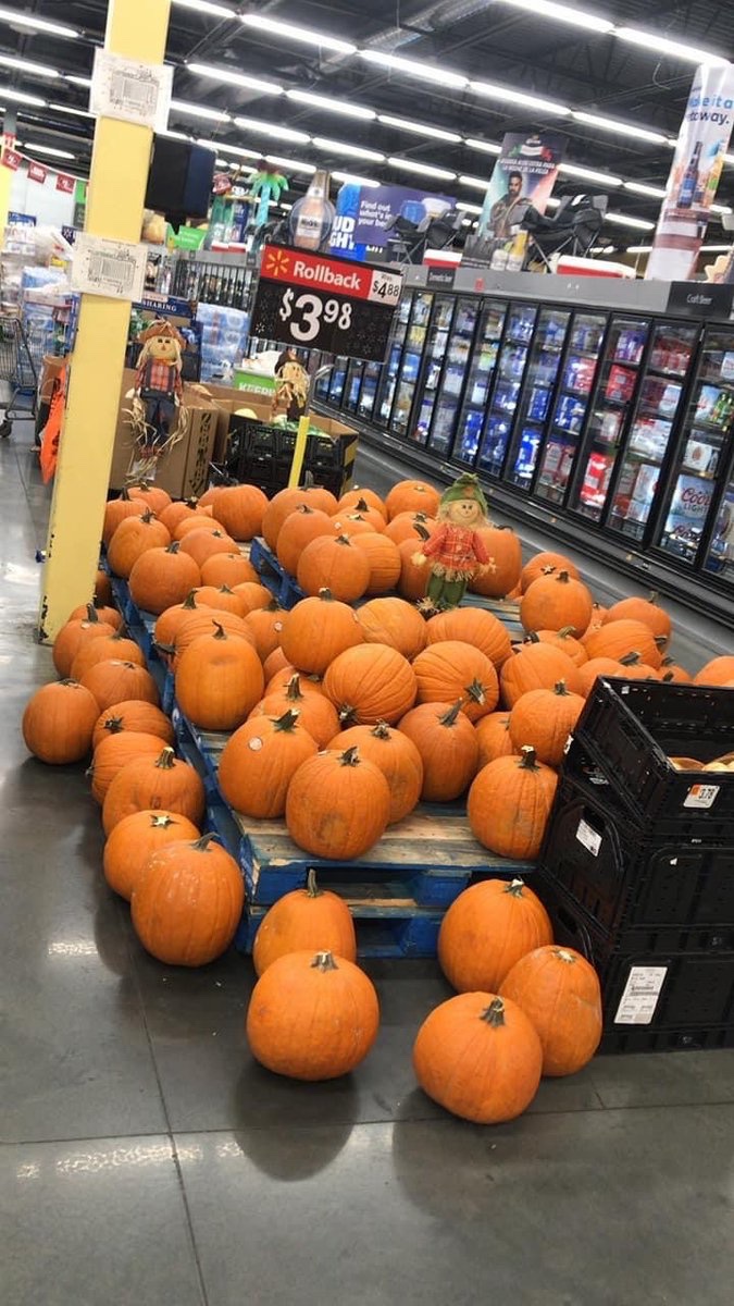 “Babe imma take you to the pumpkin patch”