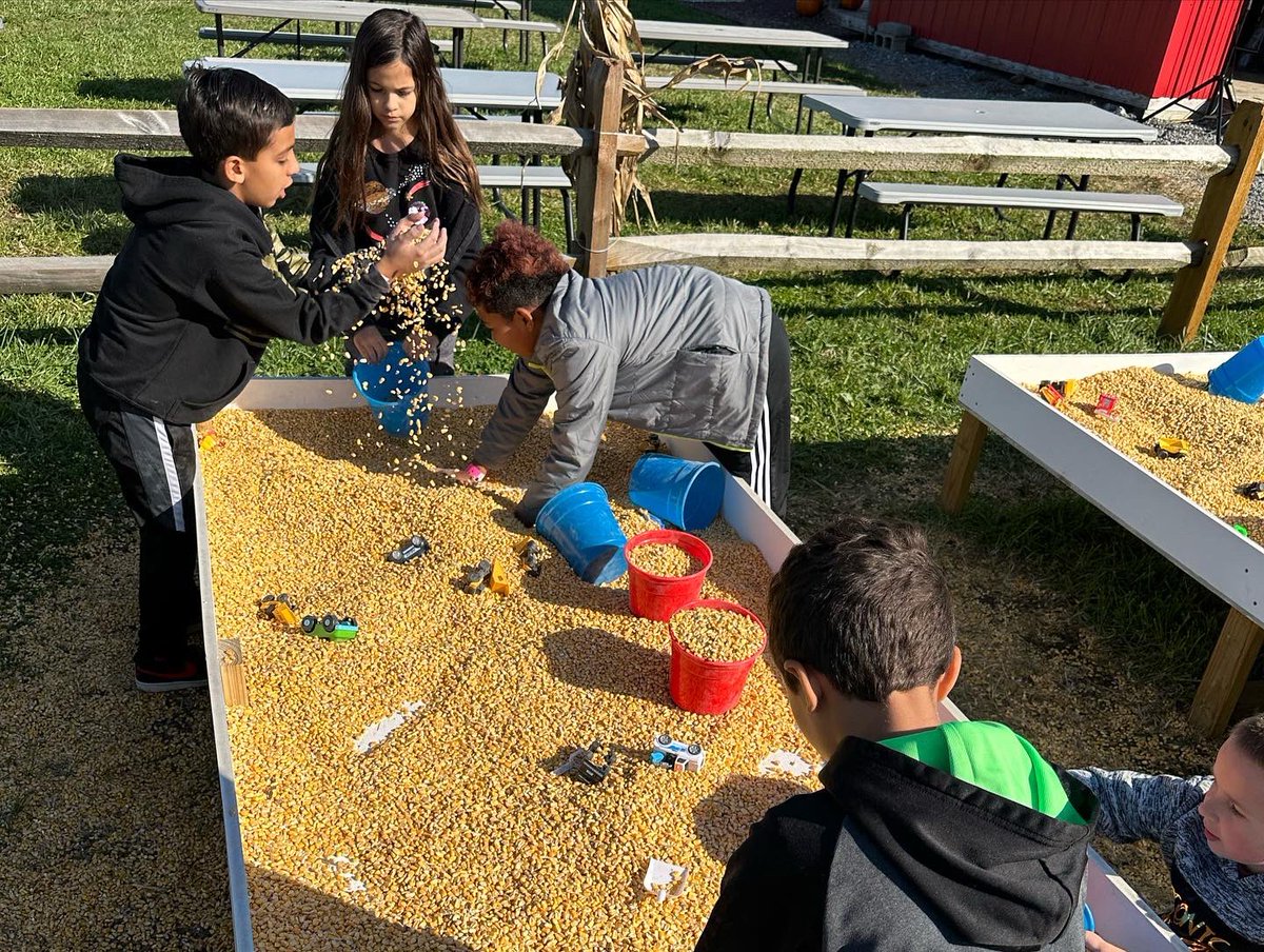 LVCConline's tweet image. School-age field trip to @valleyfruitveggies. Our #Allentownchildcare sites at @asdmuhlenberg @asdritter @salisburysdpa &amp;amp; @asdbriggenhays enjoyed playing in the corn bins. Part 2