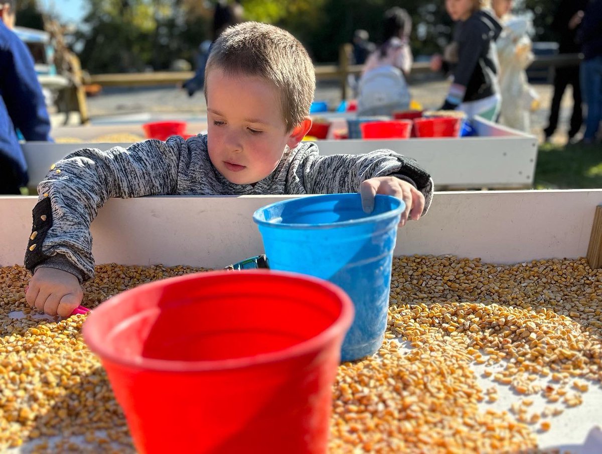 LVCConline's tweet image. School-age field trip to @valleyfruitveggies. Our #Allentownchildcare sites at @asdmuhlenberg @asdritter @salisburysdpa &amp;amp; @asdbriggenhays enjoyed playing in the corn bins. Part 2
