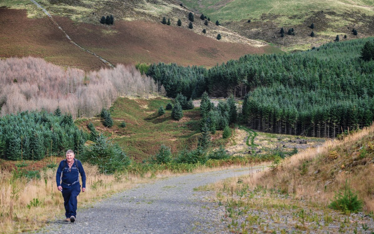 Nature watch was on this weekend 🐿  We explored over 15 miles of woodland between #Cumbria and #Northumberland because I was convinced I would get a photo of a red squirrel. I didn’t see any! But still loved getting back out and about with #autumnal views like these…