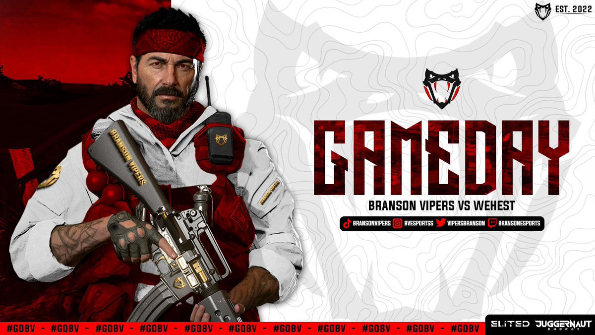 Branson Vipers tweet media