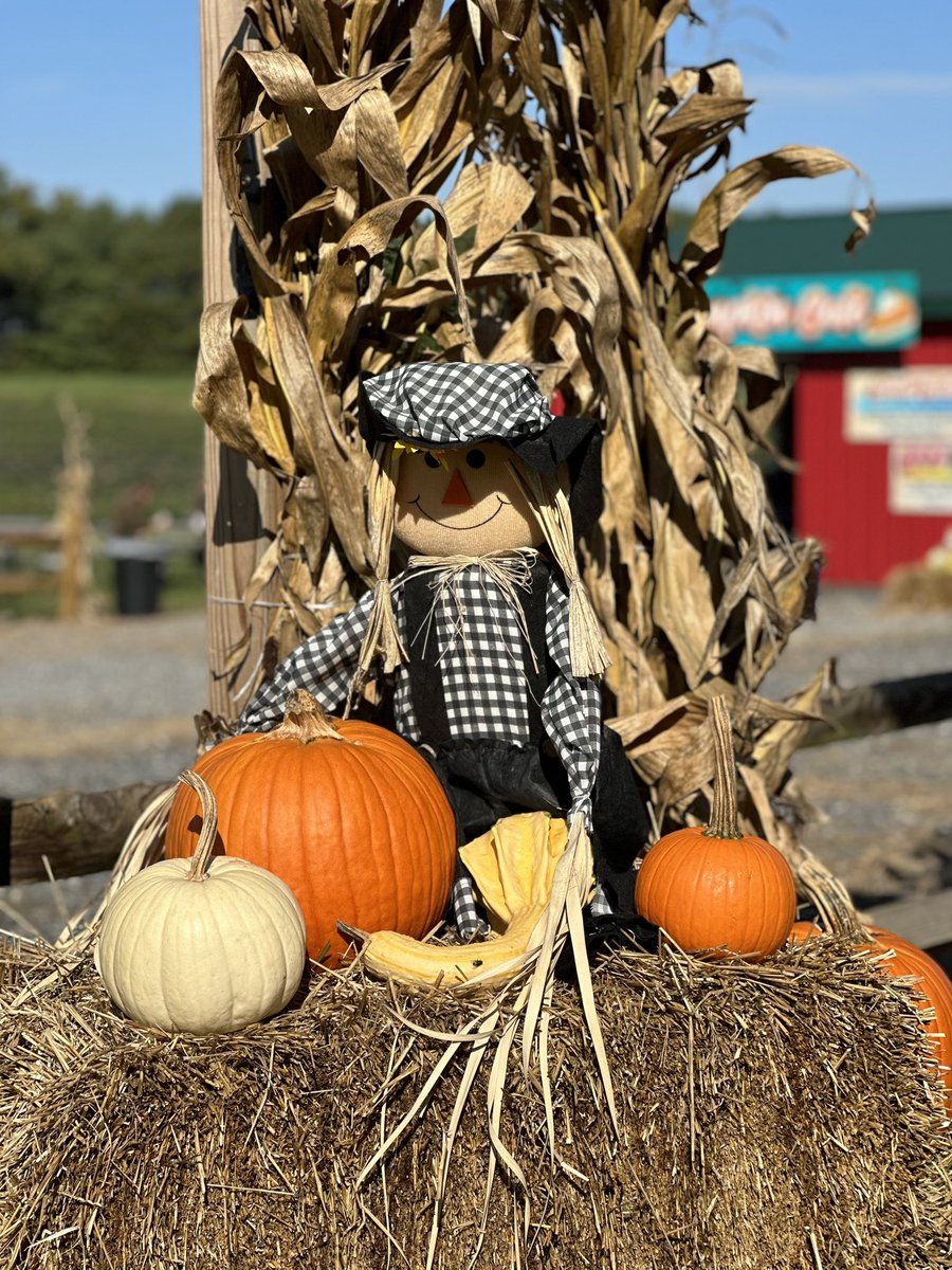 LVCConline's tweet image. School-age students had off today, so we took a field trip to @valleyfruitveggies. #Allentownchildcare sites at @asdmuhlenberg @asdritter @salisburysdpa &amp;amp; @asdbriggenhays Part 1