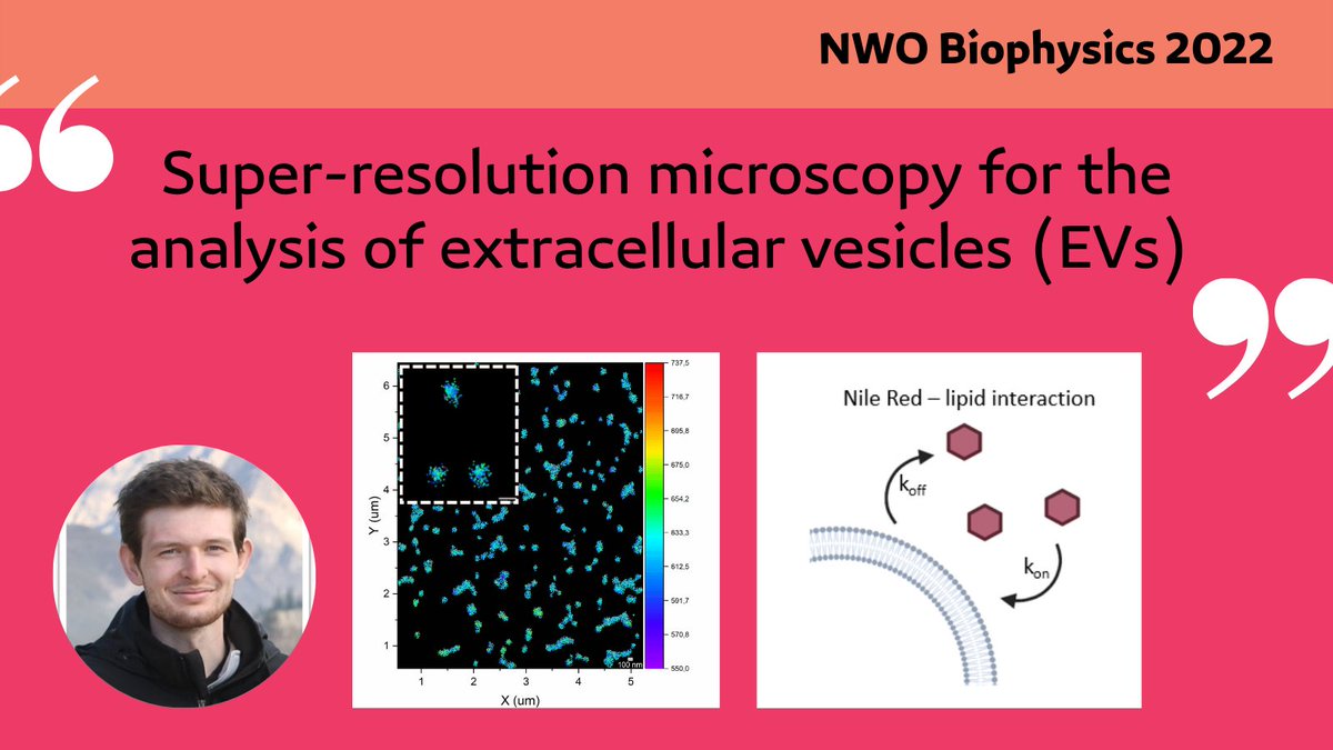 🚨Poster🚨 #NWOBiophysics is still going on. Stijn will be showing the implementation of super-res techniques like DNA-PAINT and spectral-PAINT to resolve &amp; study extracellular vesicles. Visit his poster today to learn more 👇👇