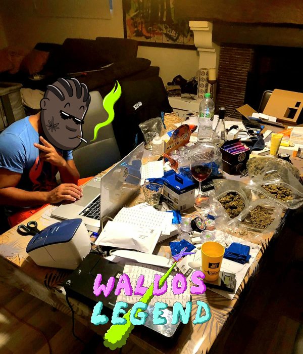 Waldos team prepares the IRL drop: Weed, rolling papers, grinders...

Which NFT project does that?  None🙄

🌴💨

#Mmemberville #WeedLovers #NFTProject #waldoslegend