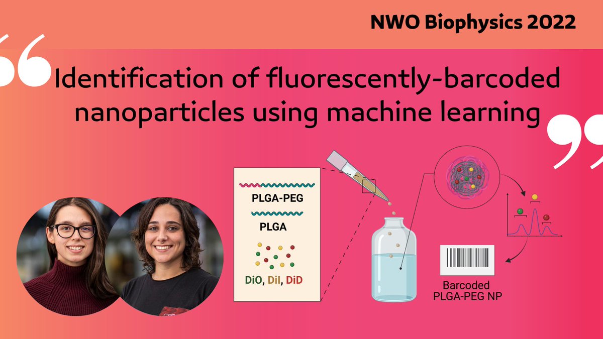 🚨Poster🚨 <a href="/crisleft_/">Cristina Izquierdo Lozano</a> &amp; Ana (DreamTeam) are presenting their poster on fluorescently barcoded nanoparticles. Do you want to know about the challenges of barcoding and how you can use machine-learning to 'read' this nano-barcodes? Find them at #NWOBiophysics!