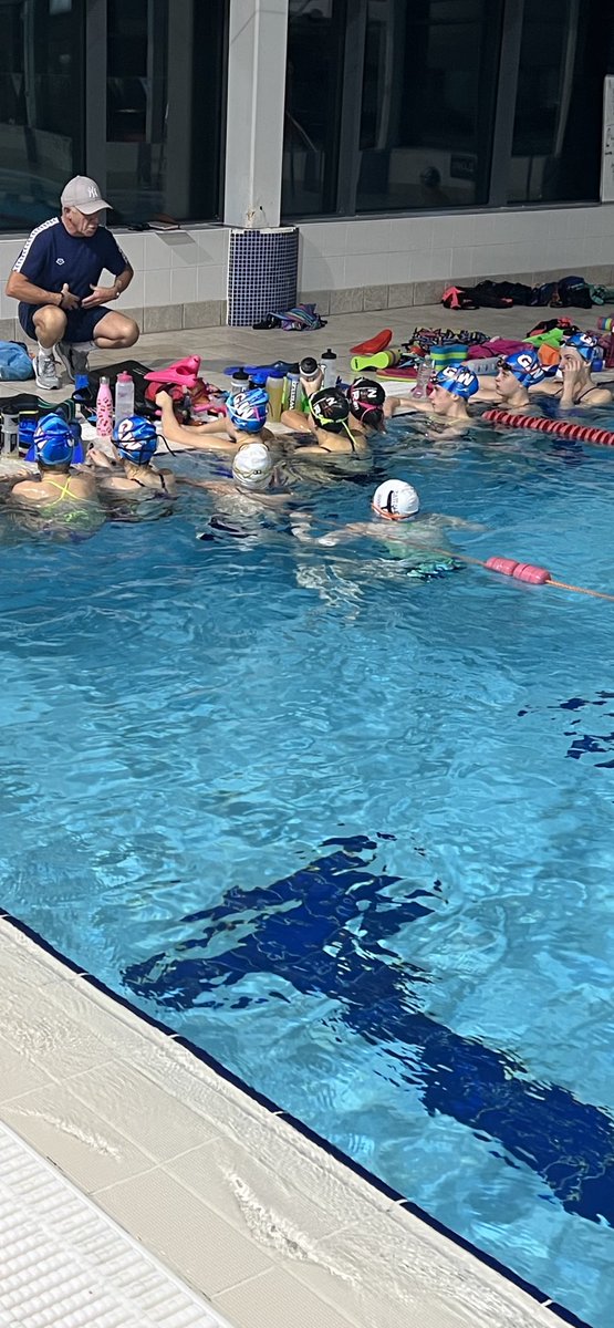 Gateshead and Whickham Swimming tweet media
