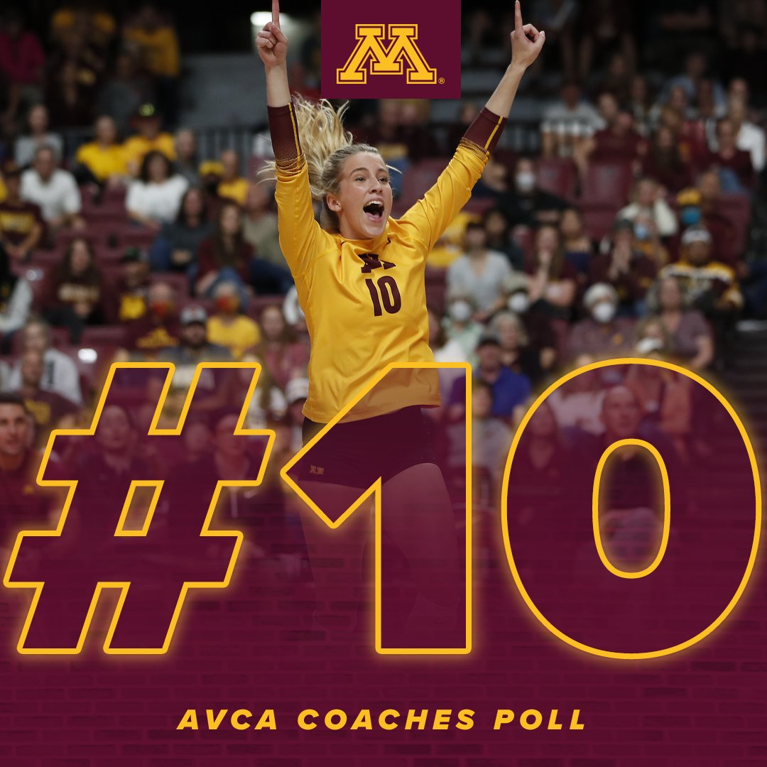 Minnesota Volleyball tweet media