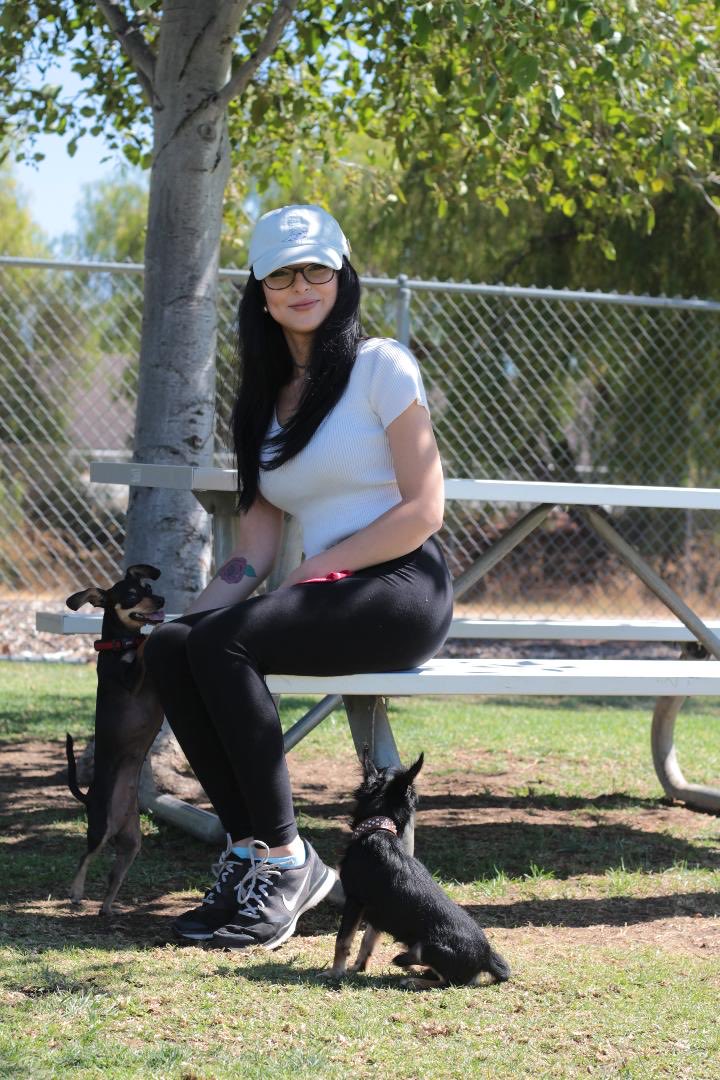 Phoebe Queen on Twitter: "At the dog park https://t.co/0q84IsQyZs" / Twitter