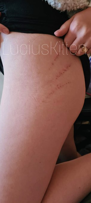 Found this the morning after I rode @SusiStrap https://t.co/zZkh7zJmGY<a class="tags" target="_blank" title="On Twitter" href="/?out=eyJ0eXAiOiJKV1QiLCJhbGciOiJIUzUxMiJ9.eyJpYXQiOjE3MjM4MTAyMTcsImlzcyI6InR3cG9ybnN0YXJzLmNvbSIsIm5iZiI6MTcyMzgxMDIxNywiZXhwIjoxNzU1MzQ2MjE3LCJyZWRpcmVjdF91cmwiOiJodHRwczovL3R3aXR0ZXIuY29tL1N1c2lTdHJhcCJ9.7AGET28atUkuHzLVTMIDriHzRQZ0P3KATT3LmFS9ShjDmLgf36yxkN_0R9M1TsGY_c6B-4P6Vf_stnoMK6fsKQ">@SusiStrap</a><a href="/tag/trans"class="tags"><span>#trans</span></a><a href="/tag/onlyfans"class="tags"><span>#onlyfans</span></a>