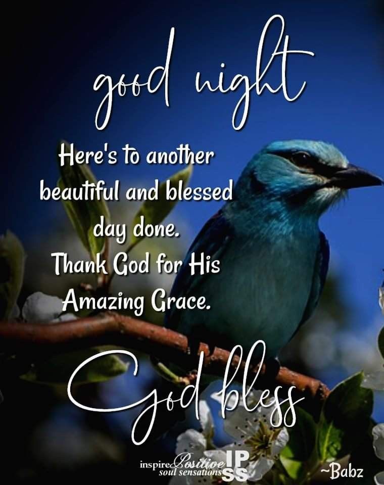 Good Night 💙🕊