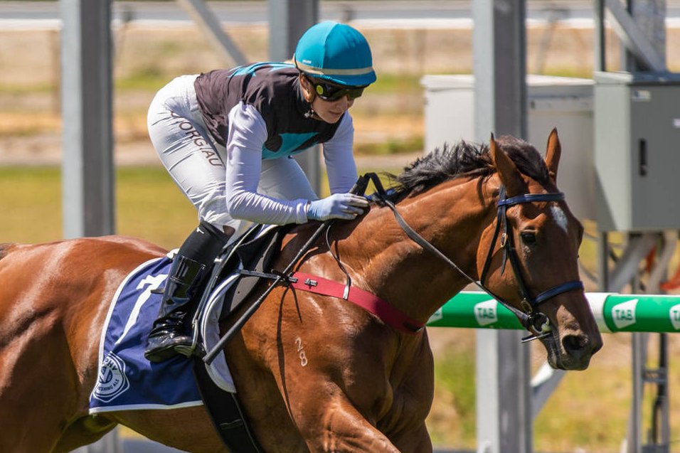 RacingSA's tweet photo. Saturday's 1000m contest at @MelbRacingClub could feature sprinters from @FinnissLodge, @Clarken_Racing and @RacingCmb 👀

MORE | https://t.co/lKcRu9brFh https://t.co/XT4Nbx4b76
