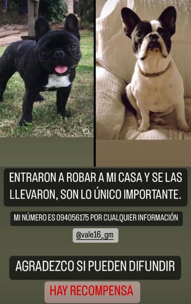 Roanas64's tweet photo. https://t.co/v92AjLMphT