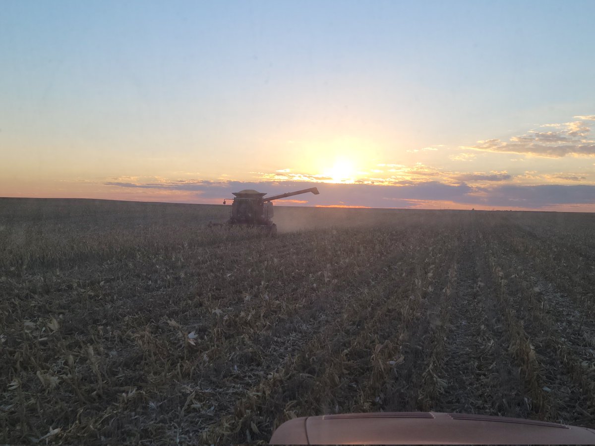 The corn may stink, but the views aren't bad