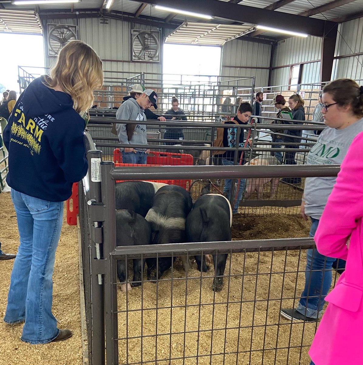 Today the Livestock Judging team traveled to the Wayne County Fairgrounds to participate in the UMO Invitational Livestock Event 🐂🐖🐑🐐 Lane Yow was the high score for the team. Congratulations to everyone for their hard work!