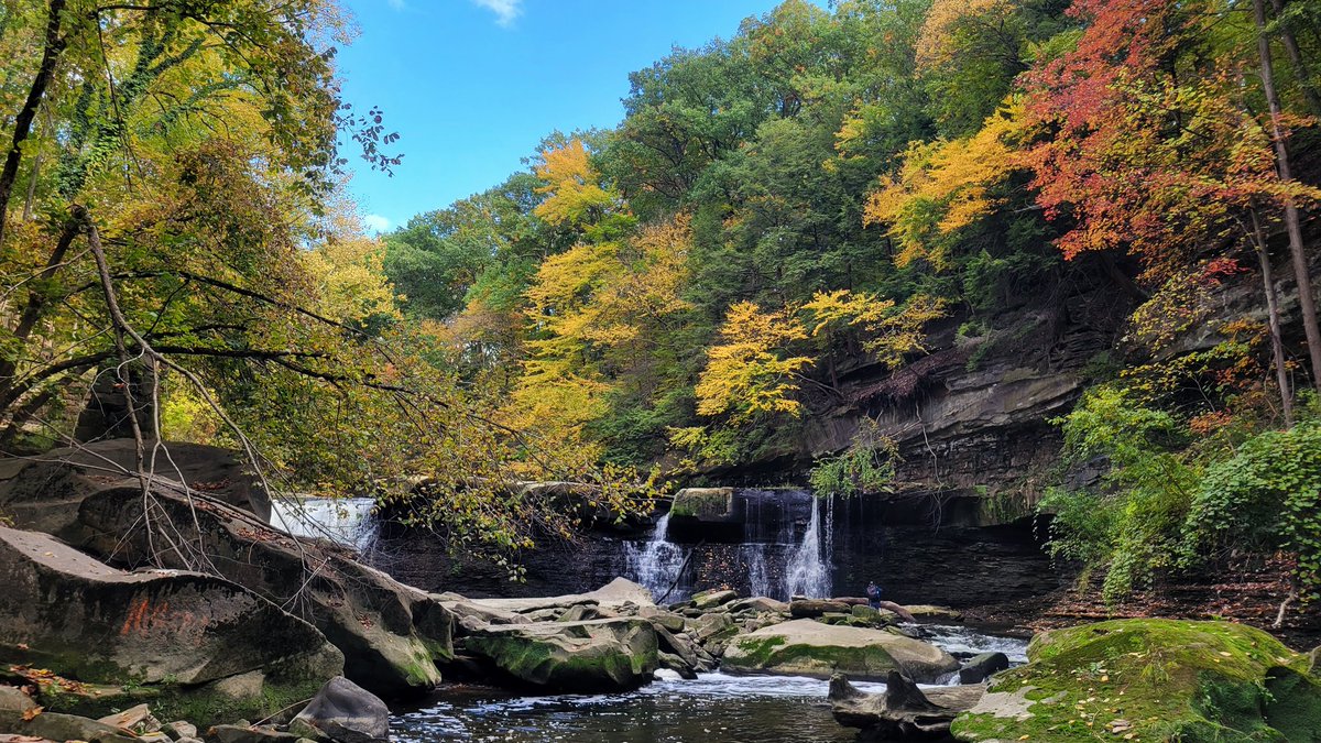 Elizabeth Page, MD 🧠 tweet media