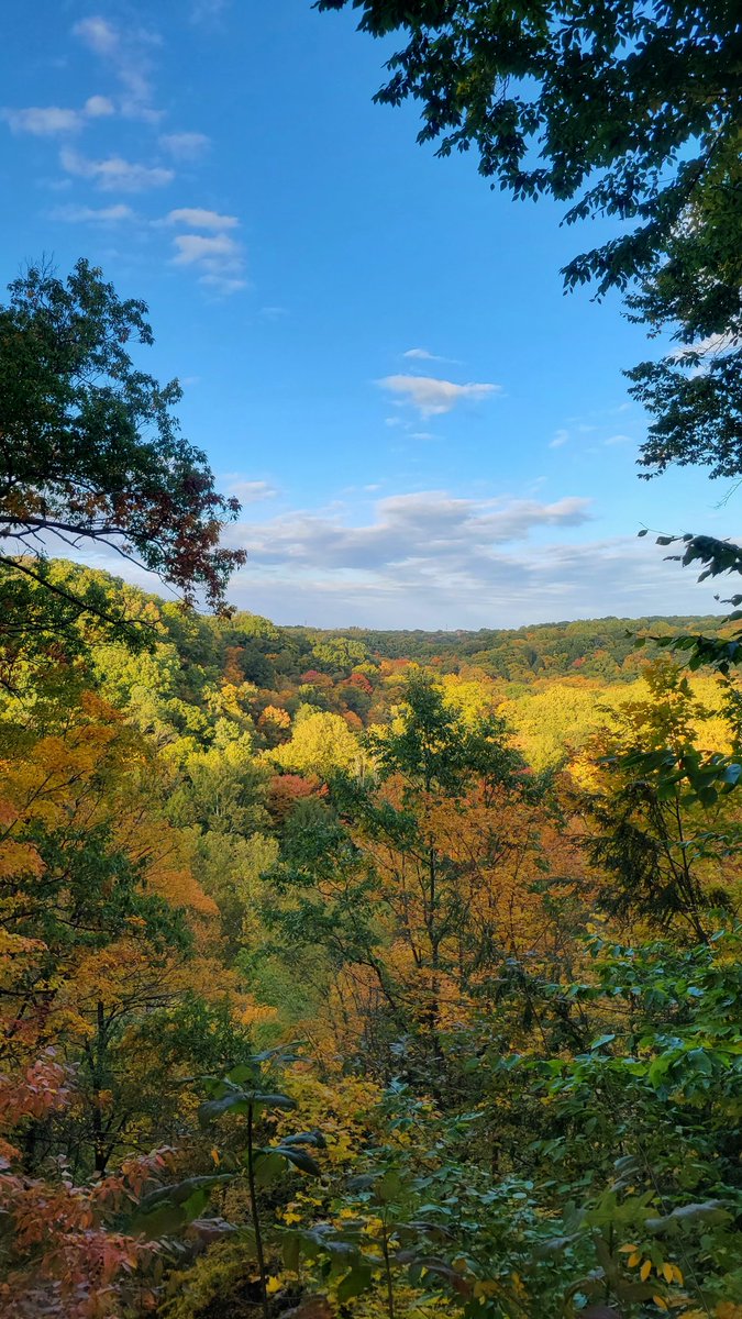 Elizabeth Page, MD 🧠 tweet media