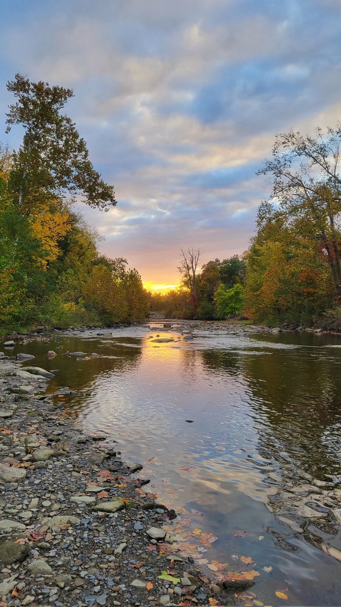 Elizabeth Page, MD 🧠 tweet media