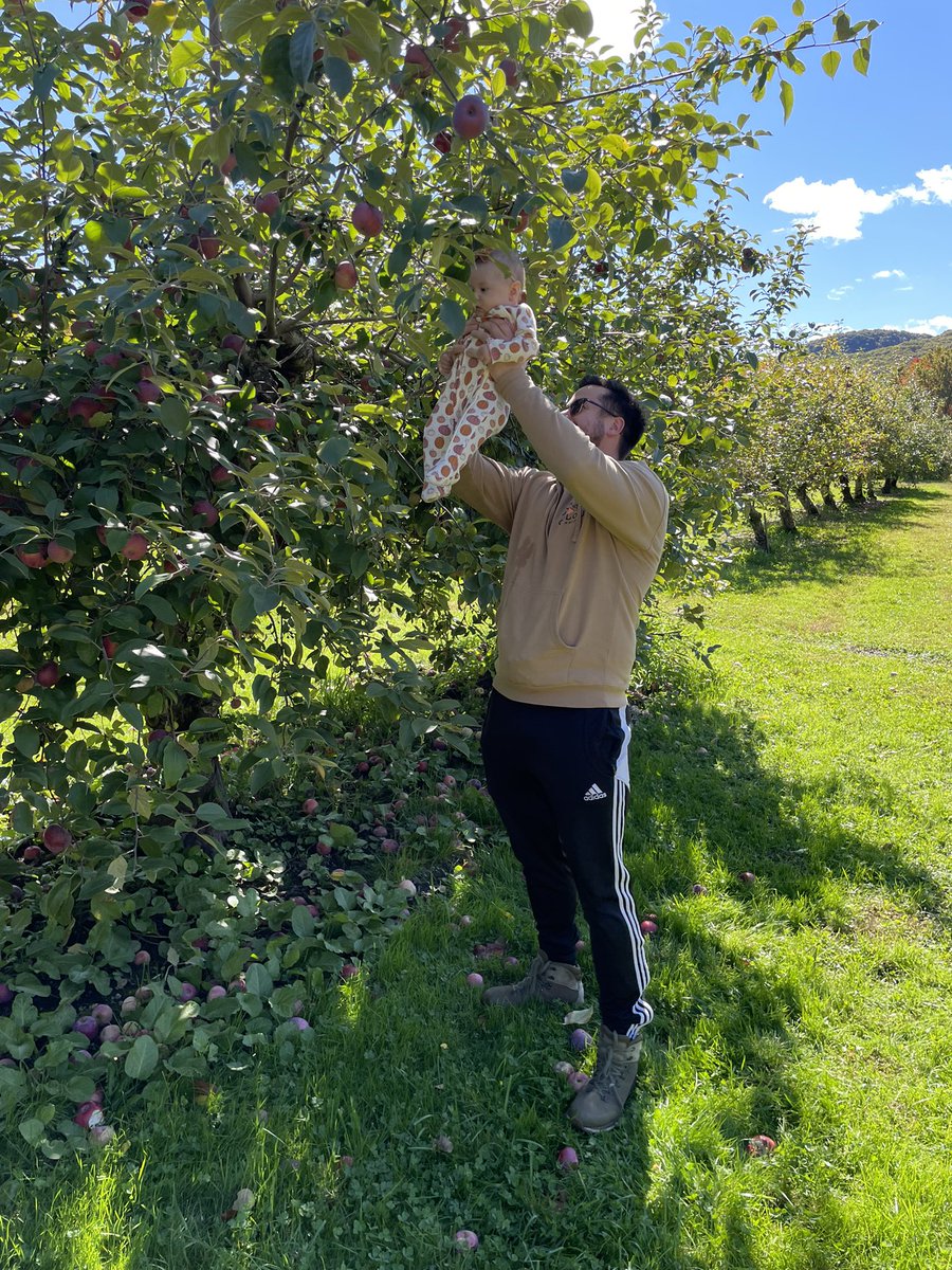 Gbarlowxx's tweet photo. Our little pumpkin! 🎃🍎🍁 #fallsweetfall https://t.co/SsXBOsmy4Q