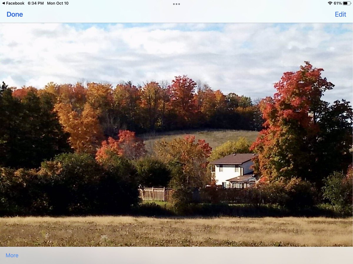 Angela Lloyd tweet media