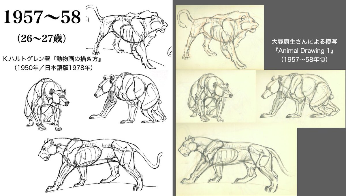 #大塚康生 さんがプレストン・ブレア著『ANIMATION〜LEARN HOW TO DRAW ANIMATED CARTOONS』(1949年)のほぼ全項を描き写していたことは有名ですが、ハルトグレン著『THE ART OF ANIMAL DRAWING』(1950年)全項も描き写していたことは殆ど知られていません。
脅威的スケッチの一部はおそらく初公開。 