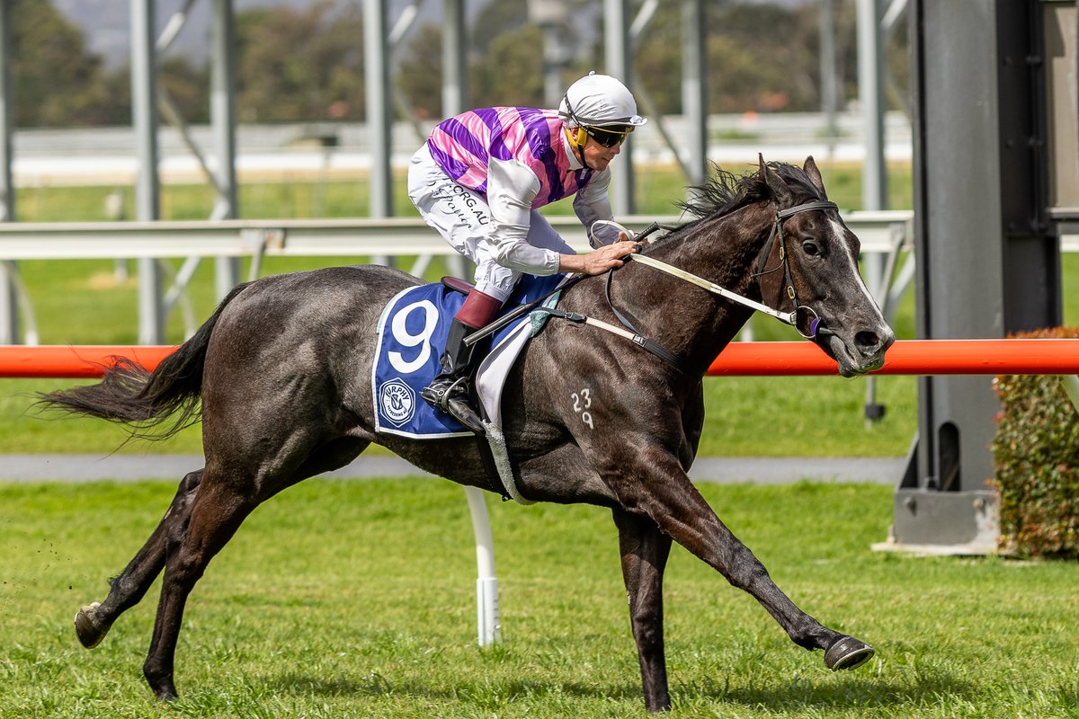 RacingSA's tweet photo. September saw @TJDoudleracing and Shane/Cassie Oxlade claim some nice #RacingRewardsSA bonuses 💰

MORE INFO | https://t.co/DNReRK2uf1 https://t.co/KockmbQdJY