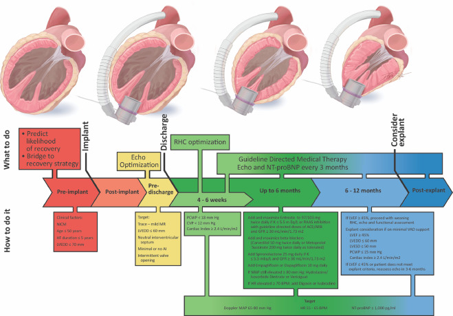 Clinical aspects of myocardial recovery with LVAD summarized in #JHLT review by @manreetkanwar, @PalakShahMD, et al bit.ly/3CnZaoZ See also companion article on biological aspects bit.ly/3yv9jyY @StavrosDrakos @BurkhoffMd