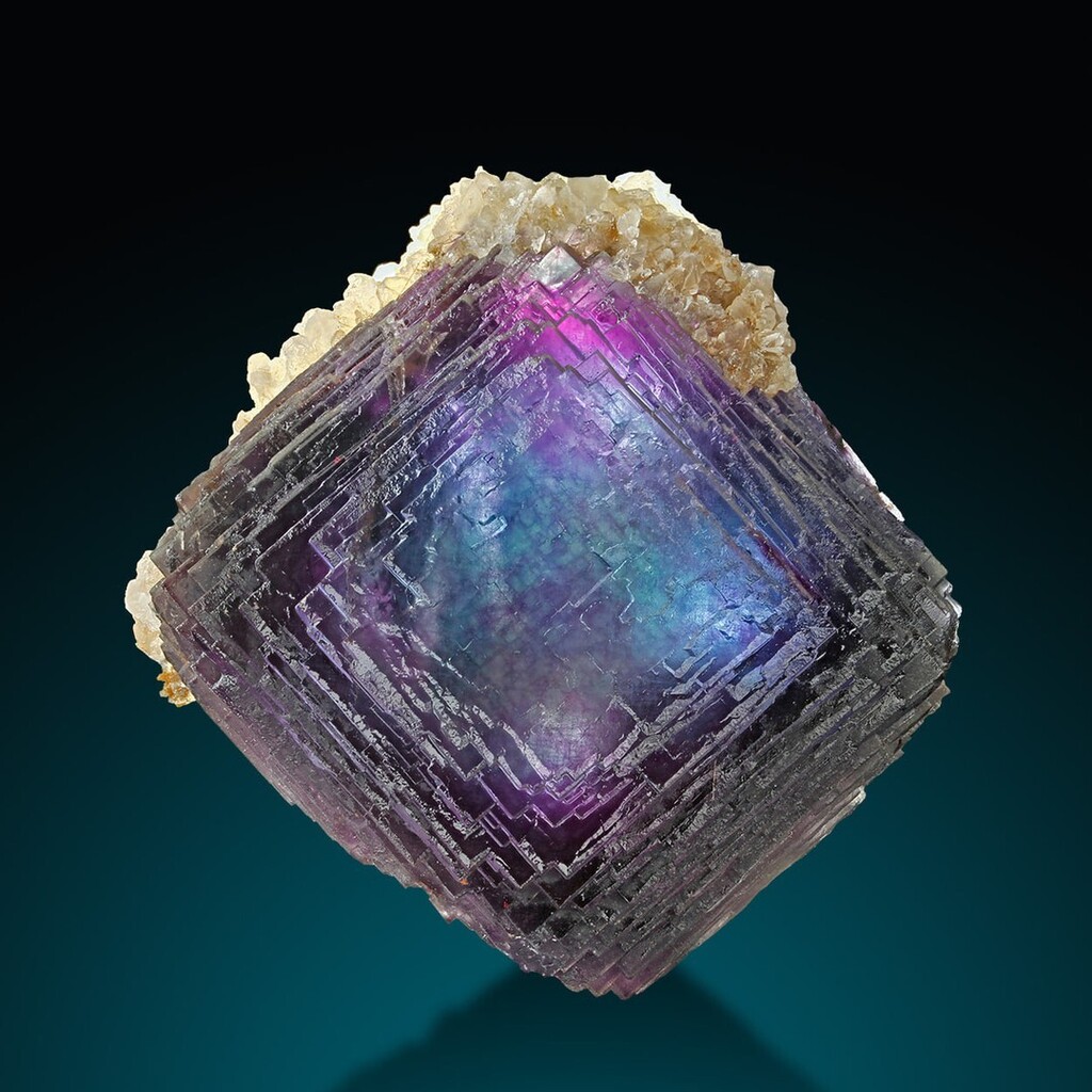 GeologyPage's tweet photo. Fluorite &amp; Calcite | #Geology #GeologyPage #Minerals

Locality: Summit Cleft, Weisseck, Lungau, Salzburg, Austria

Size: 8.2 × 8.6 × 4.5 cm

Photo Copyright © Viamineralia / e-rocks. com

Geology Page 
https://t.co/AtopGLUZHP https://t.co/7ofTiX3Bh6 https://t.co/1lzlzhEEK4