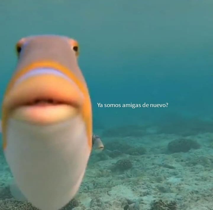 soslayable's tweet photo. Hoy discutí con una amiga y recién me mandó un meme. Me la imaginé así: https://t.co/eqwVTA7RYd