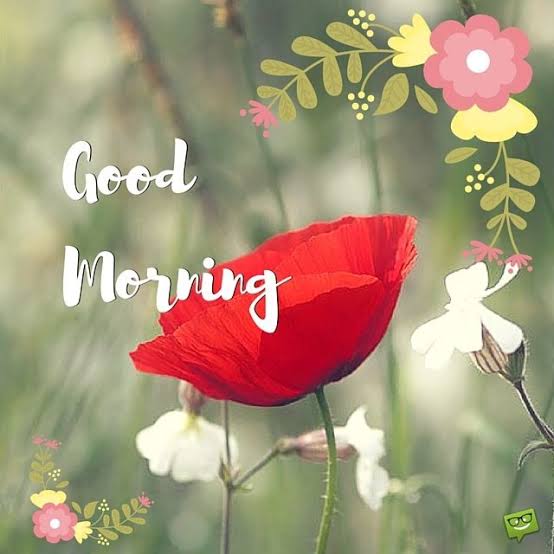 Good morning everyone!🌞🌷🌻

Stay positive and always have faith in yourself.

Happy Tuesday! Enjoy your day!

<a href="/KissesDelavin/">Kisses Delavin</a>
#KissesDelavin