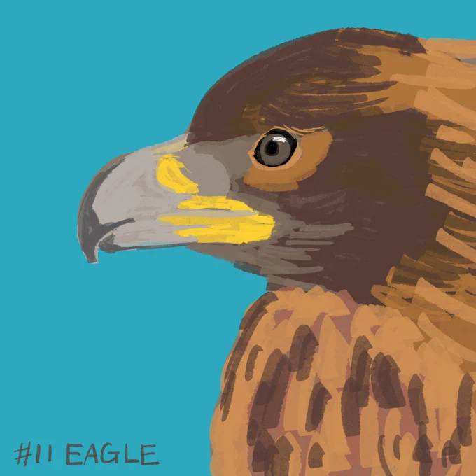 #inktober2022  #inktober #インクトーバー Day11 Eagle (鷲) 