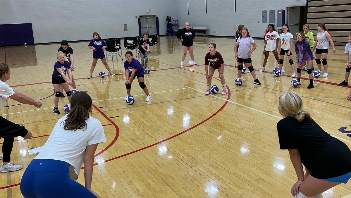 Red Wing Volleyball tweet media
