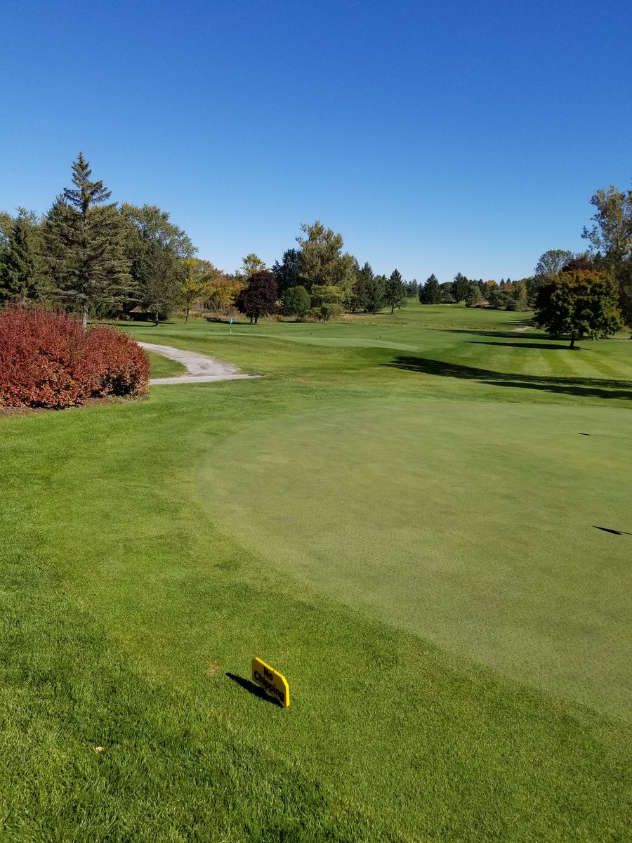 tonywilson_tony's tweet photo. @BobWeeksTSN @golf_weston #Dalewood https://t.co/N2lomDvCBJ