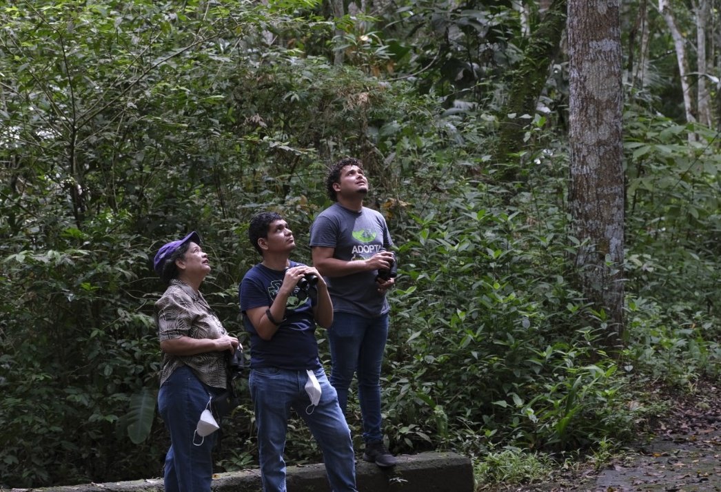 adoptabosque's tweet photo. Observación de aves en el #DiaMundialdelasAvesMigratorias en PN Camino de Cruces
Observamos gavilanes, mosqueros, cuclillos, reinitas y otras que han viajado miles de kilómetros desde Norteamérica hasta Panamá
#DMAM2022
#WorldMigratoryBirdDay
@WMBD
@enviroamericas
@BonnConvention https://t.co/8cOkr92PPj