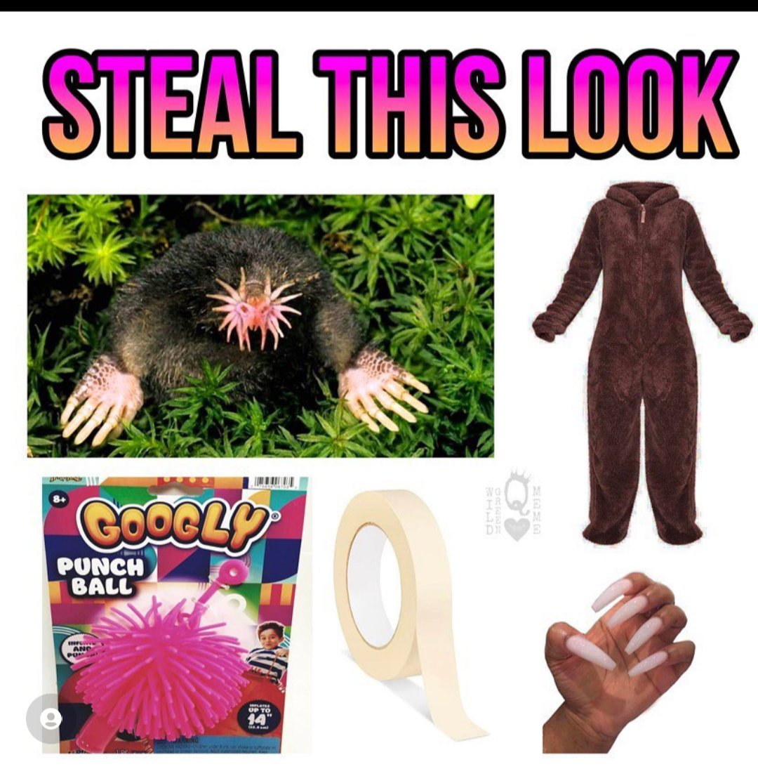 Noc! (@unearthedenergy) on Twitter photo 